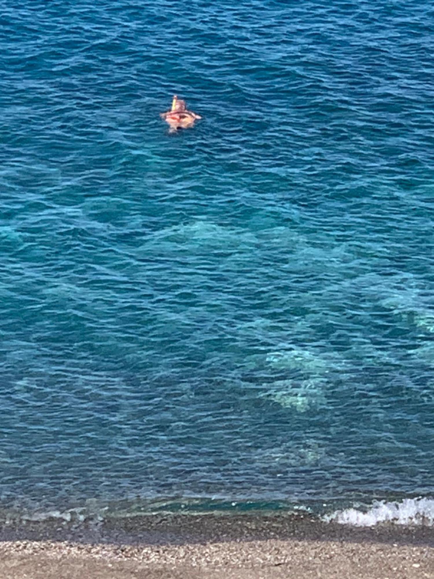 La Porta Delle Eolie Lejlighed Capo dʼOrlando Eksteriør billede
